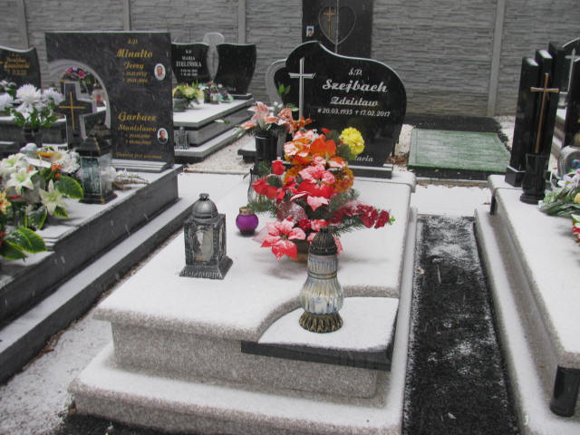 Grób Janina Szejbach