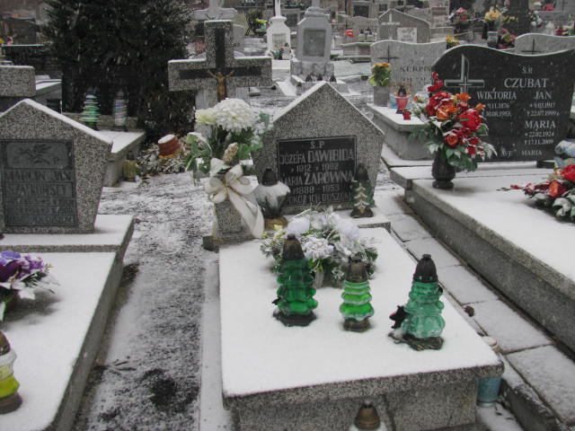 Grób Włodzimierz Dawibida