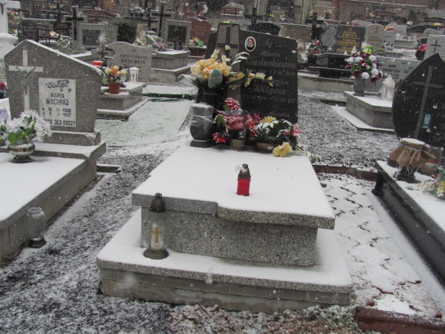 Grób Franciszka Wilgosz