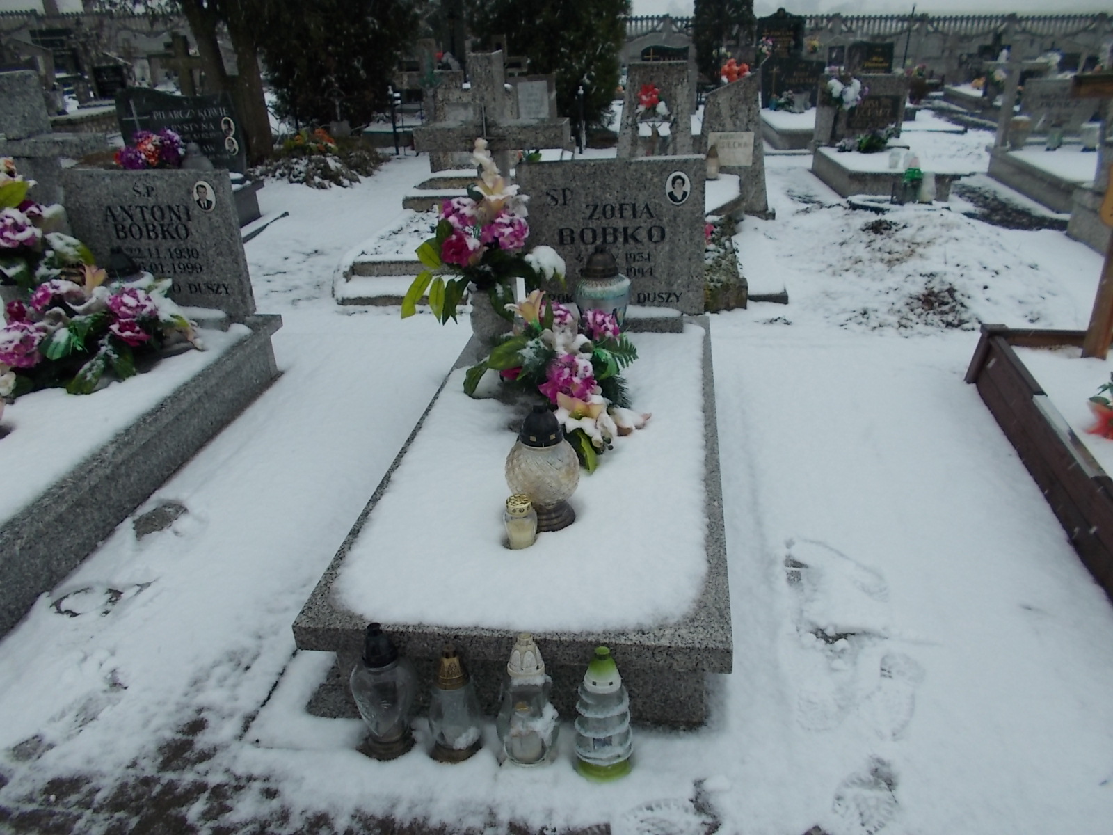 Grób Zofia Bobko